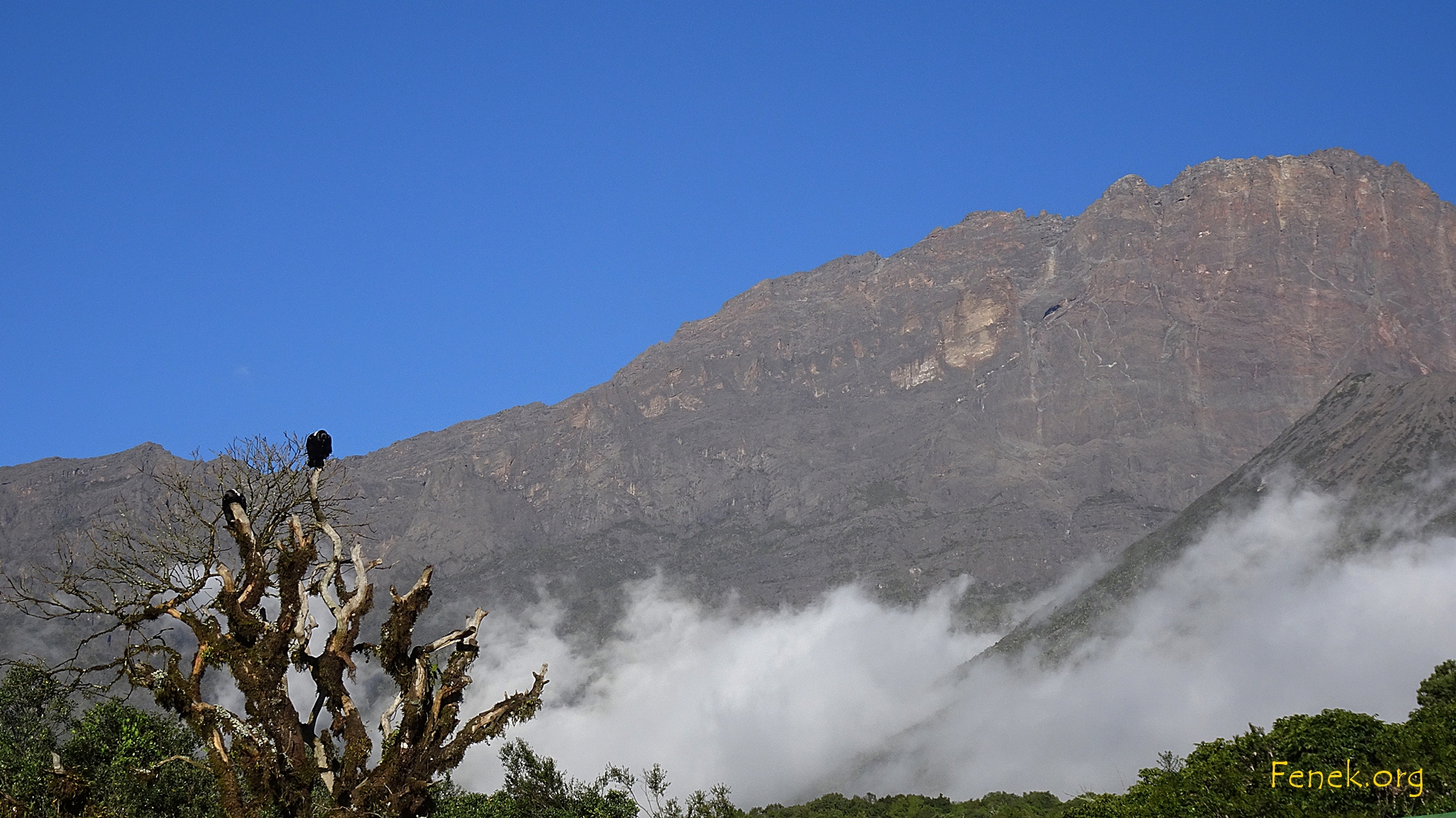 Mount Meru und Geierrabe