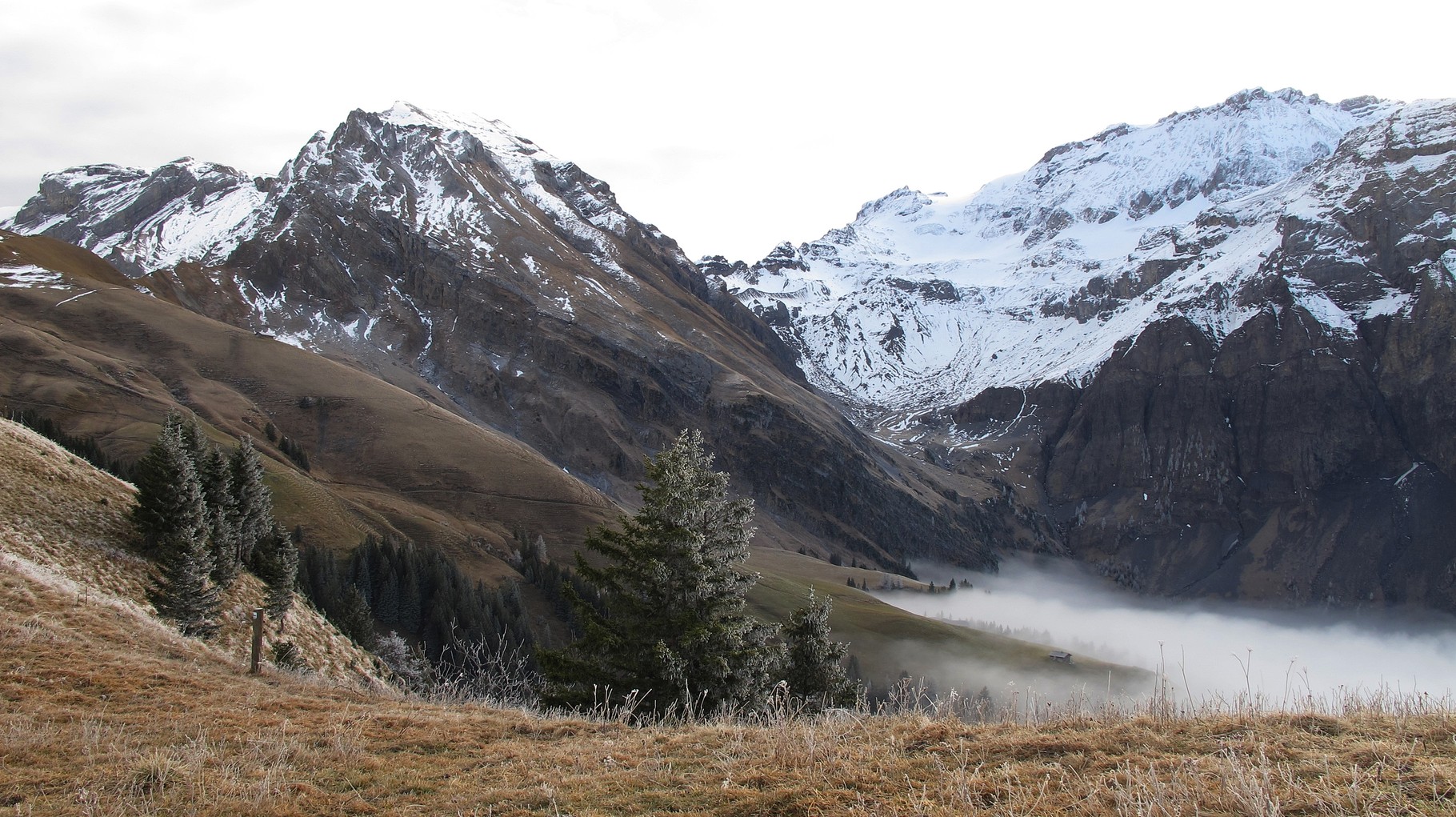 Ammertenspitz und Wildstrubel