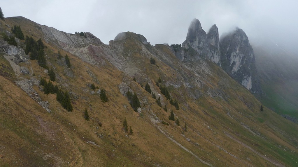 Les Pucelles