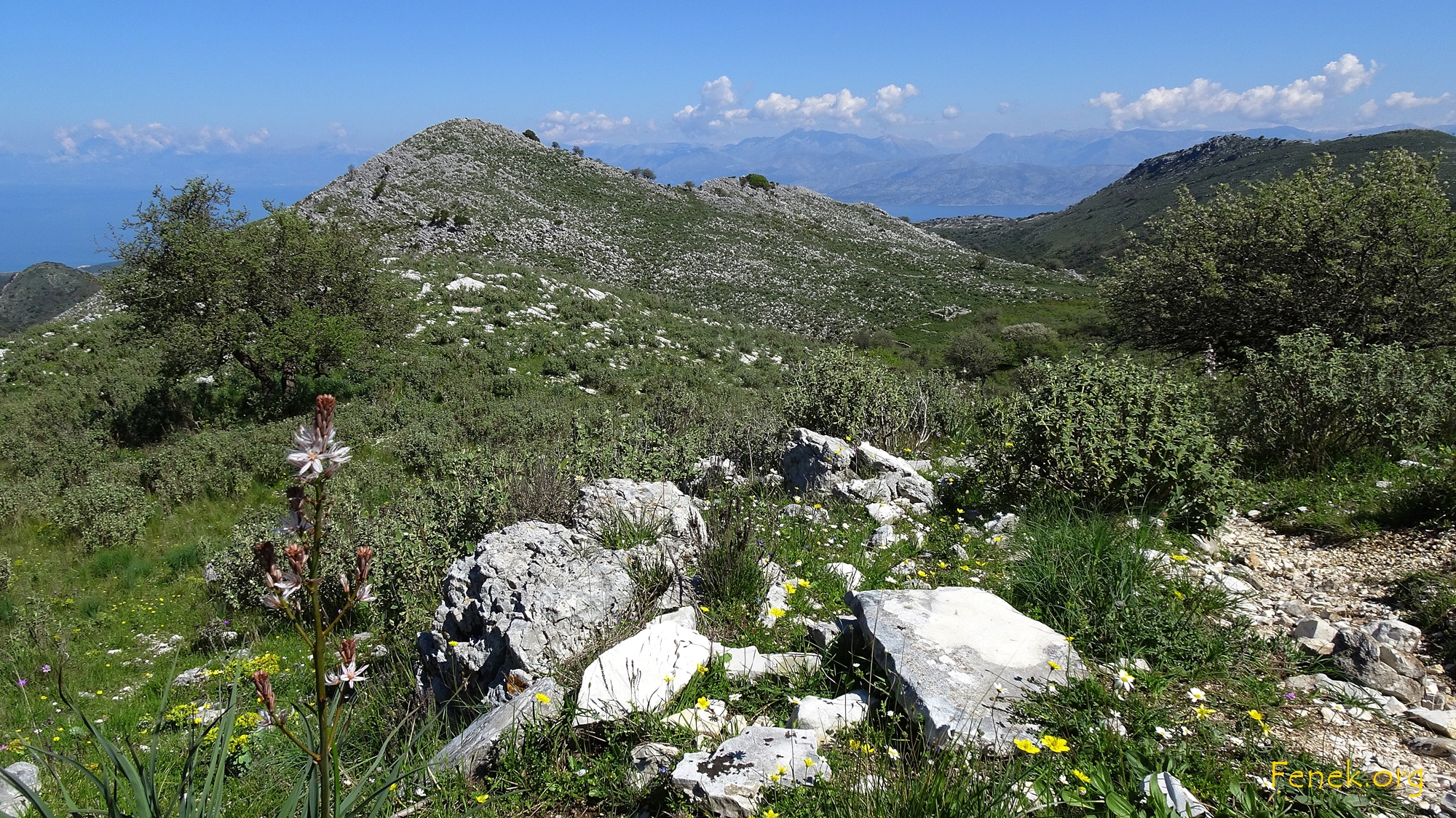 wunderschöne Wildnis