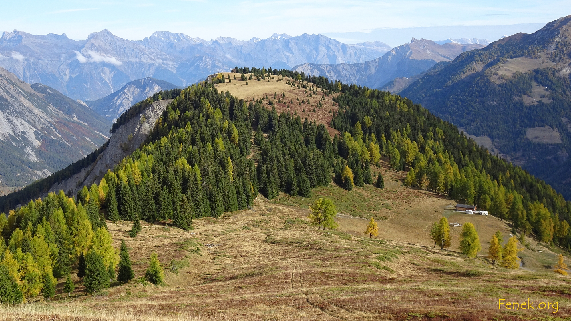 ein Blick zurück zum Flügepilz und Spinnweben