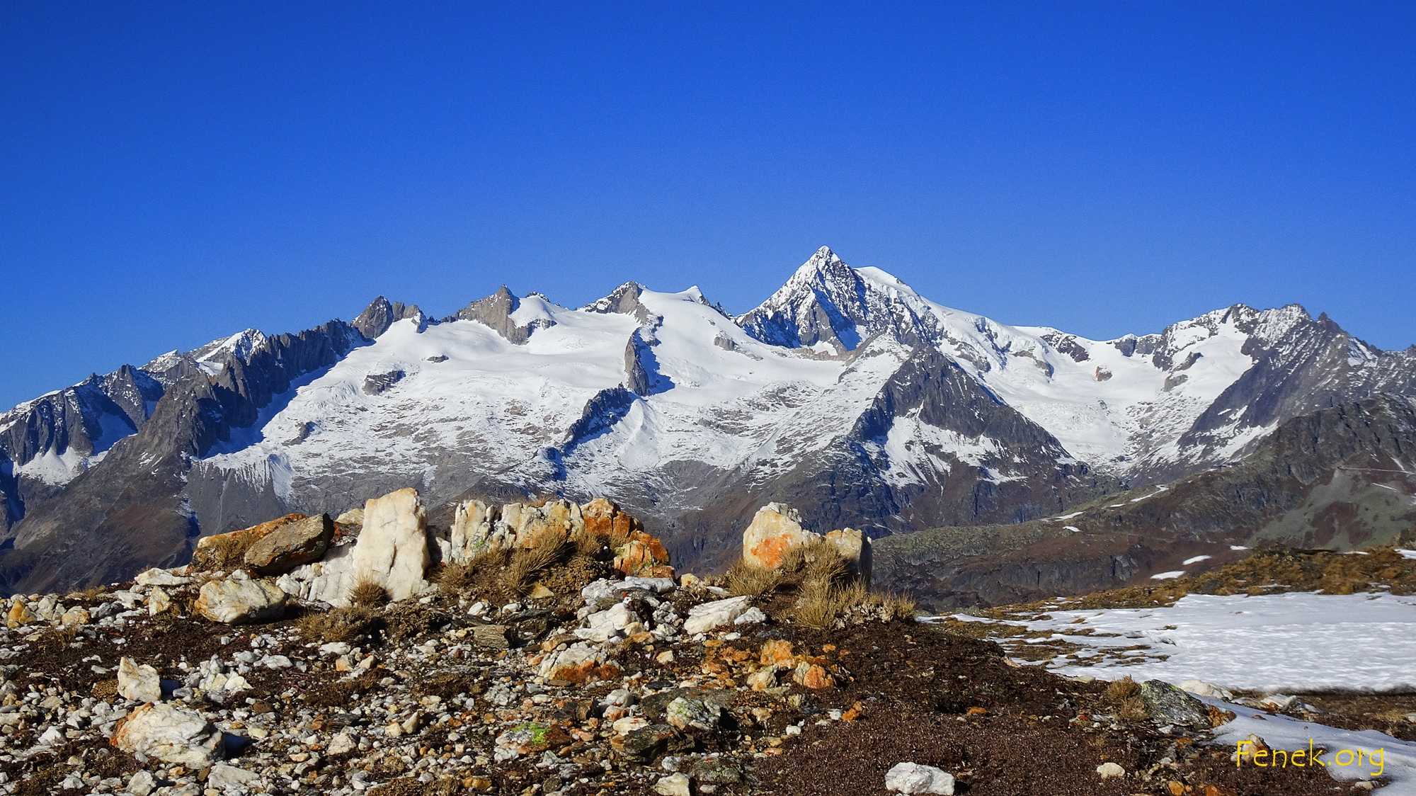 Schinhorn?