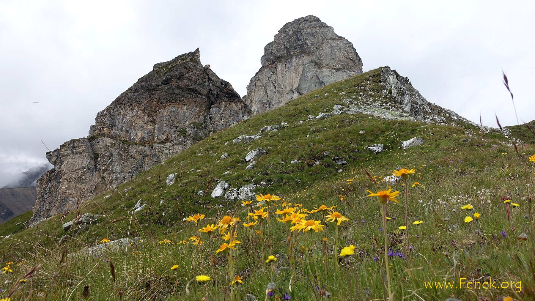 Blick zurück