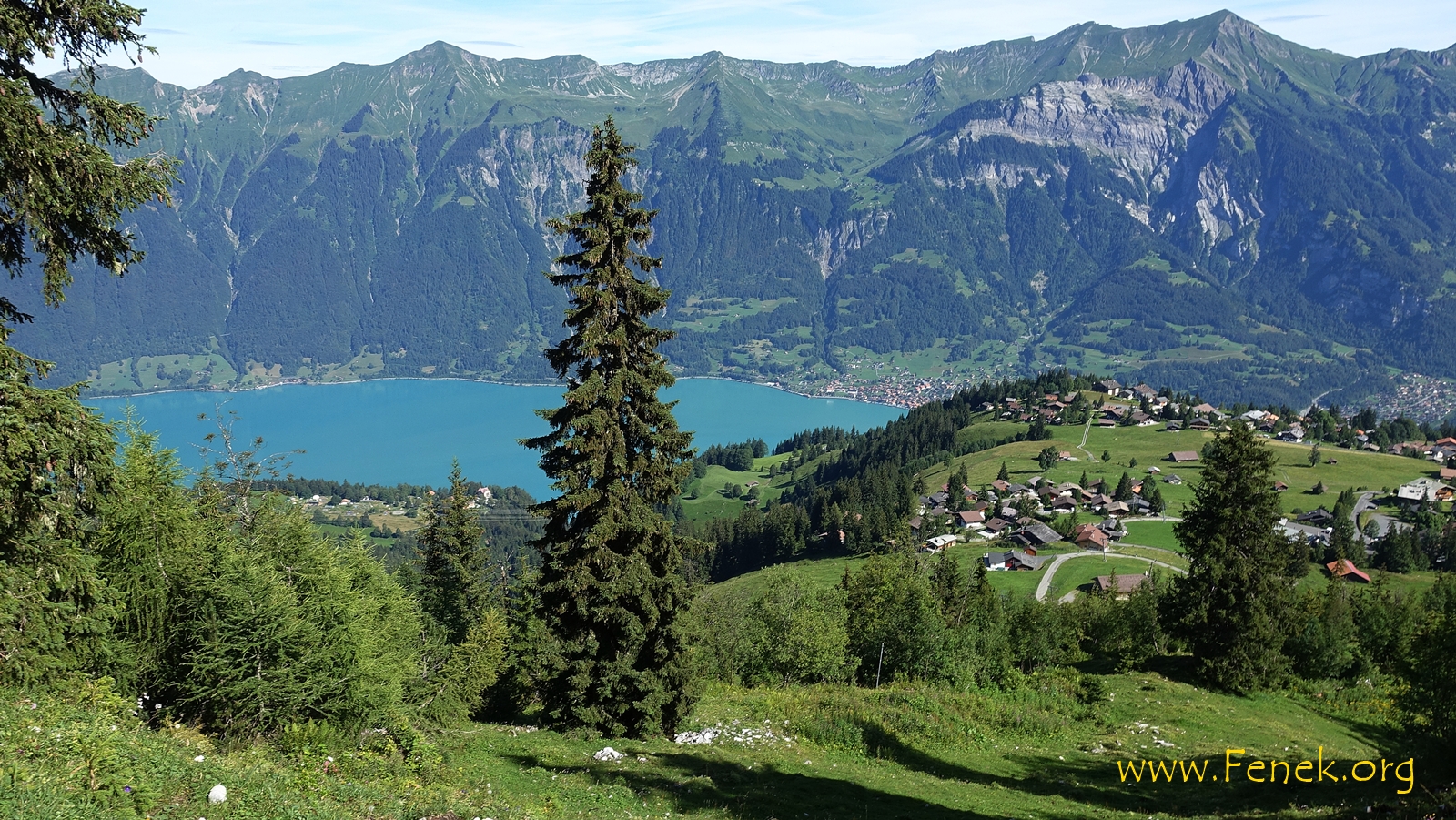 die schöne Axalp mit dem Brienzersee