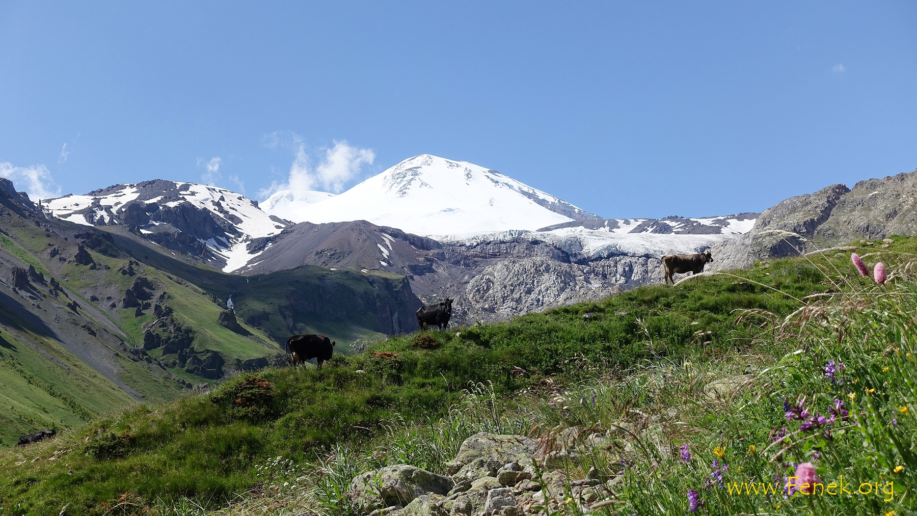 Elbrus
