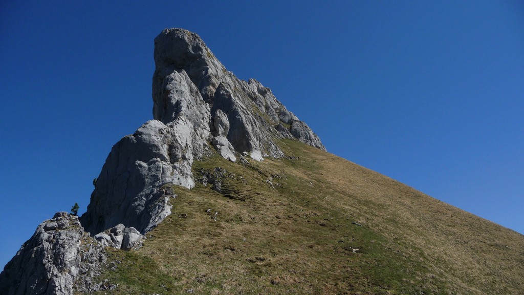 hier geht's hoch zum Dent de Savigny
