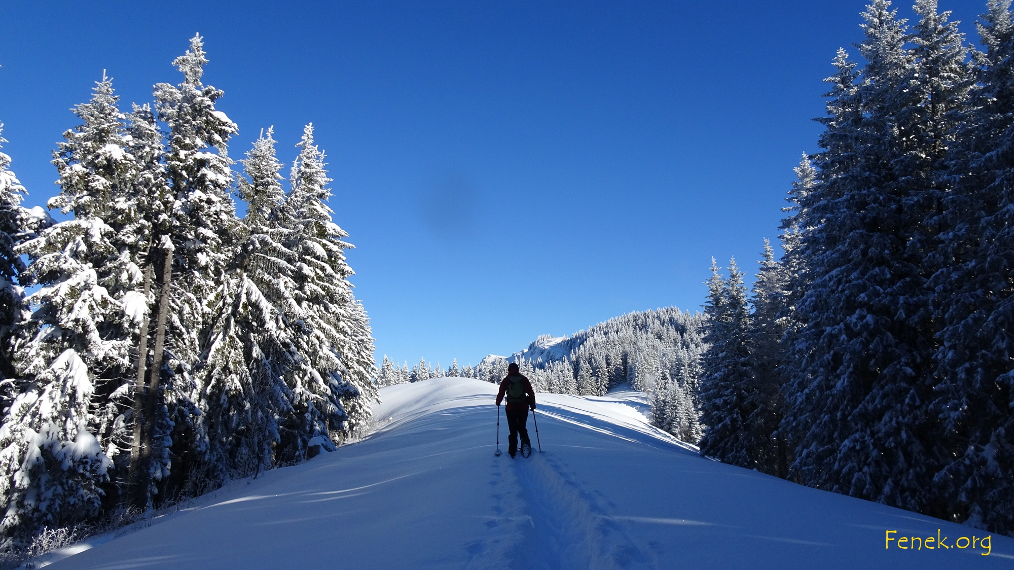 Frauenpower...!