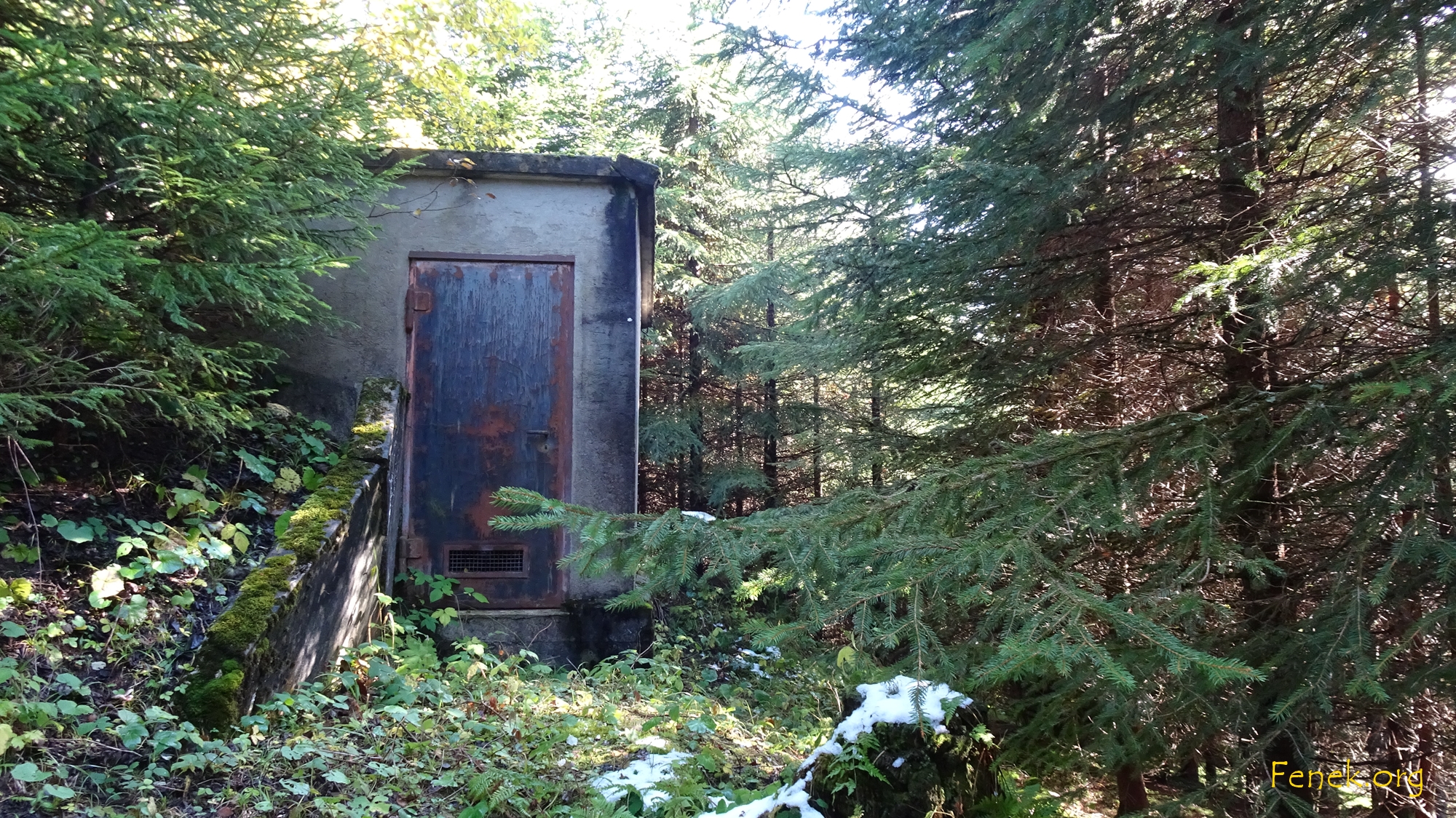 Wasserfassung im Wald