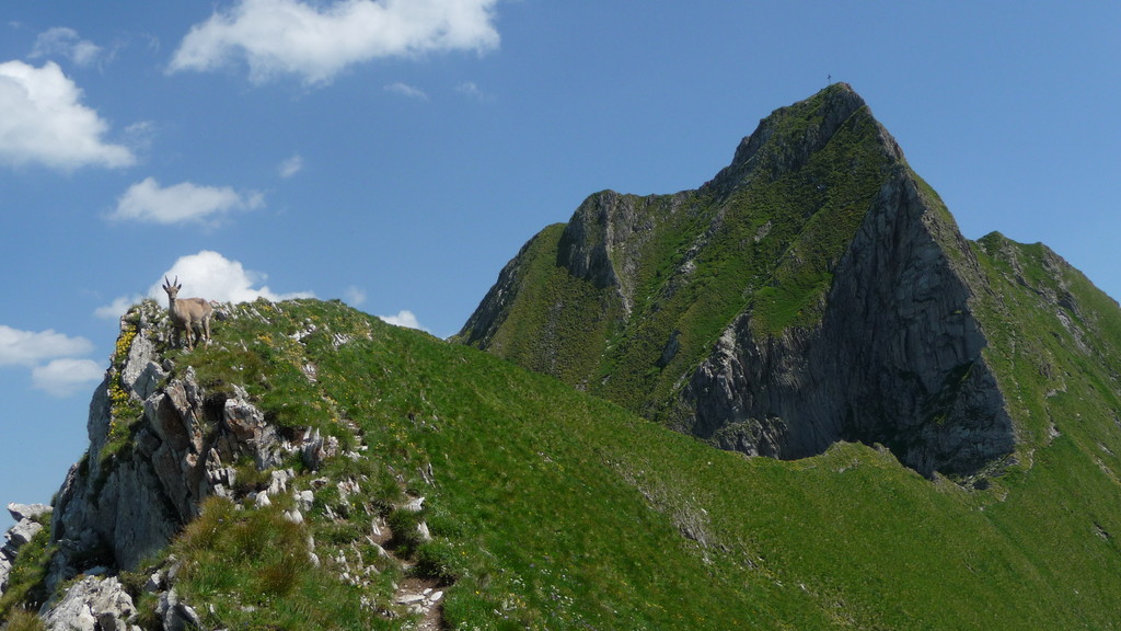 Vanil Noir mit der Abstiegsroute und...was noch?