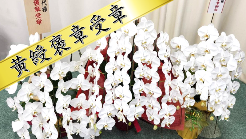 令和６年秋の褒章で、我社の西村久代社長が黄綬褒章を受章しました。