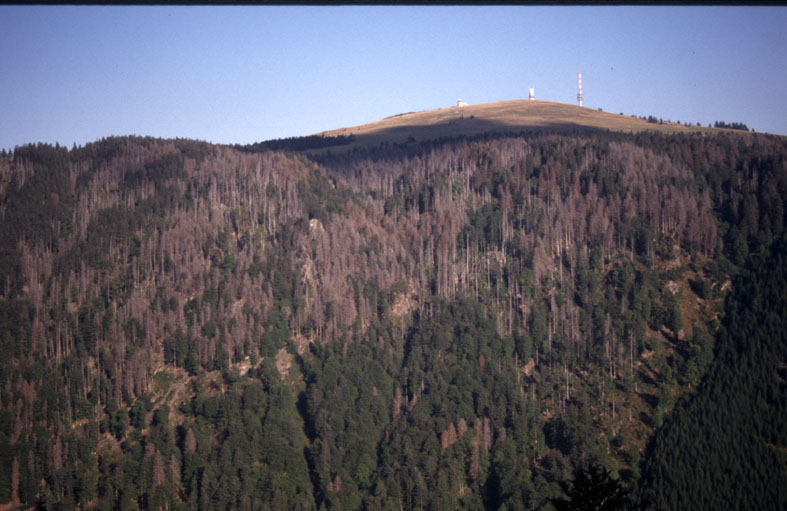 BW Napf 2005