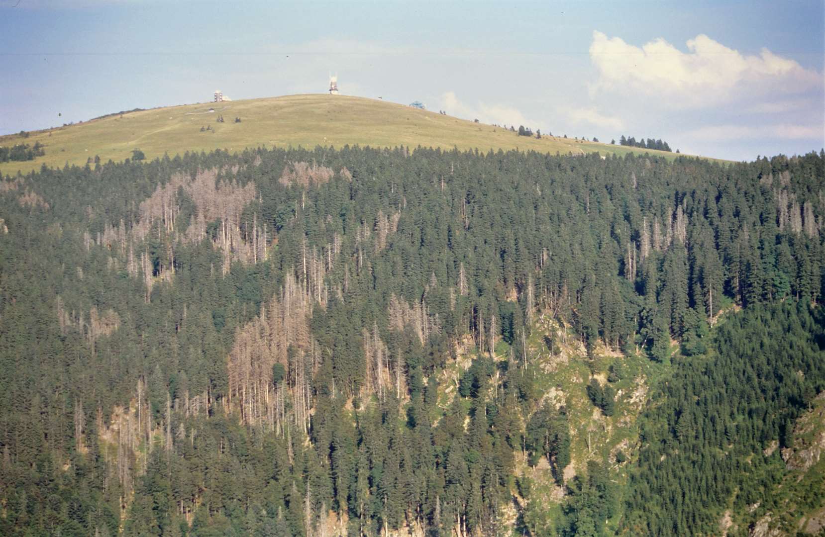 BW Napf 1998