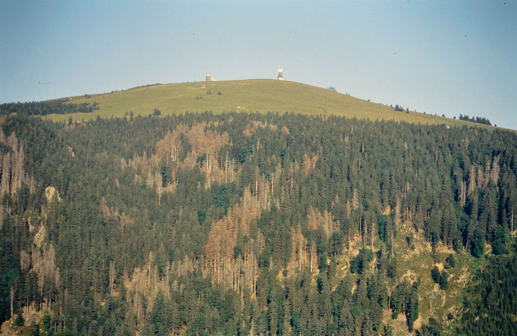 BW Napf 1995
