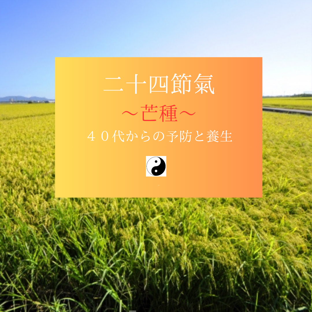 二十四節氣【芒種】ジメジメの季節をしなやかに乗り切る、胃腸と心の整え方/喜多見狛江　ヨガ薬膳動き方研究所　サラフロウ