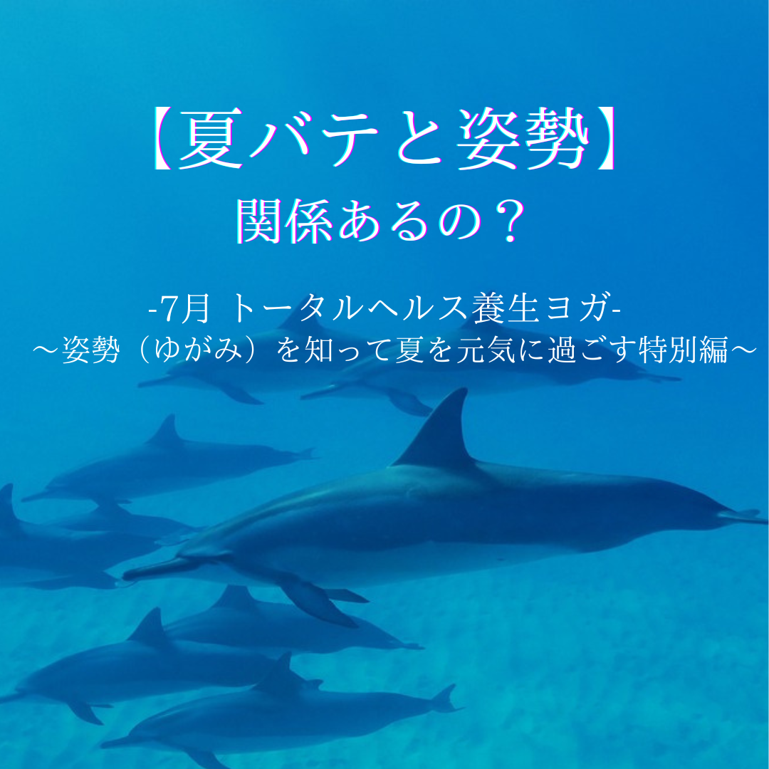 【夏バテと姿勢】関係あるの？姿勢（ゆがみ）を知って夏を元気に過ごす特別編