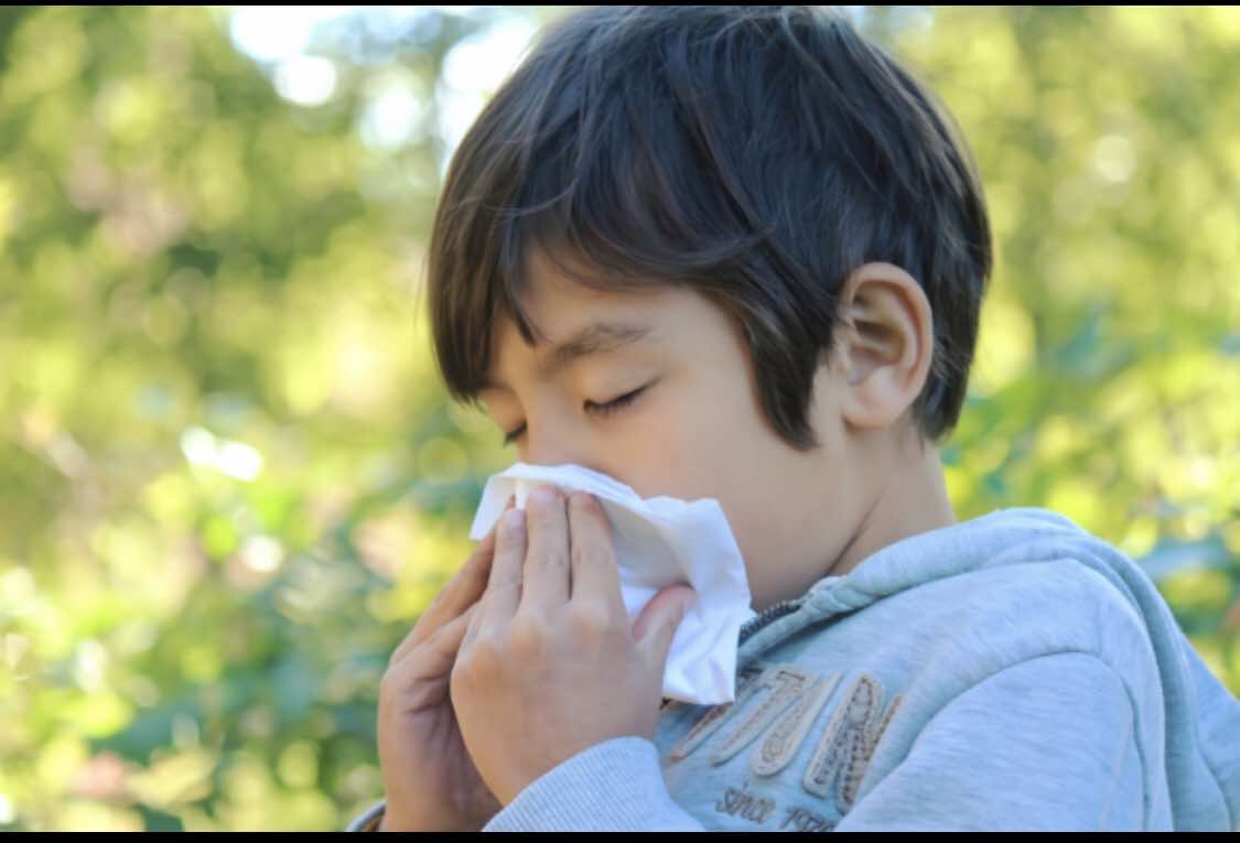 くしゃみ、鼻水、目のかゆみ/花粉症対策！「経絡ヨガ」