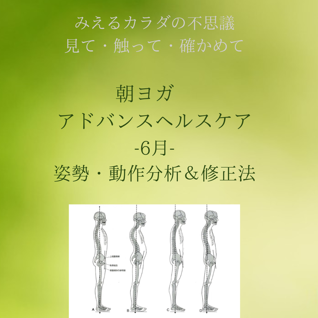 見えるカラダから秘密を解き明かす【6月】アドバンスヘルスケアー姿勢・動作分析＆修正法/ヨガ 薬膳 リハビリ ヘルスケア研究所　サラフロウ
