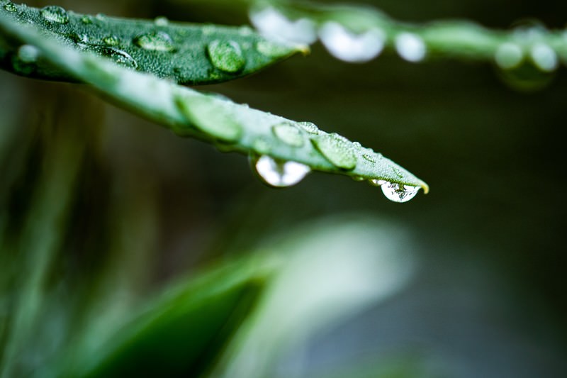 【めまい・頭痛】梅雨の不調を根本から和らげる、東洋医学の知恵とすぐできるお家ケア