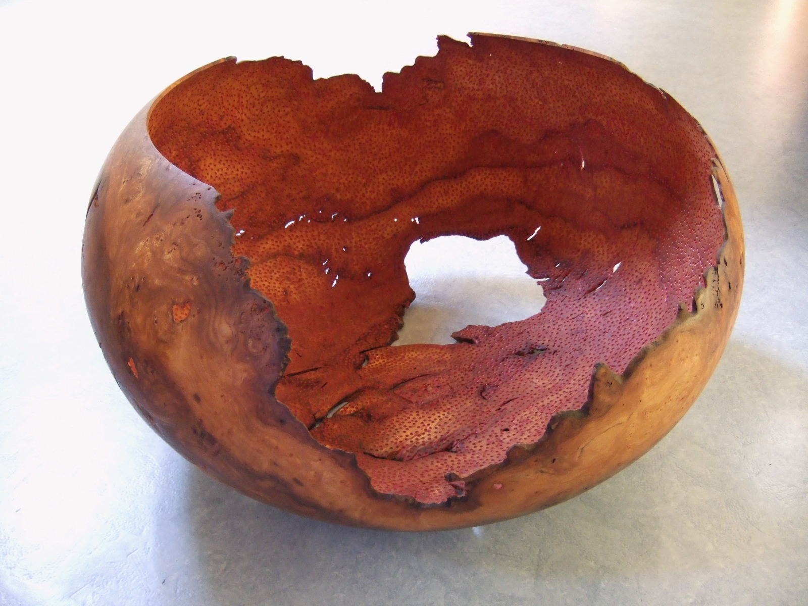 Loupe d'Orme Site de atelierdutournage