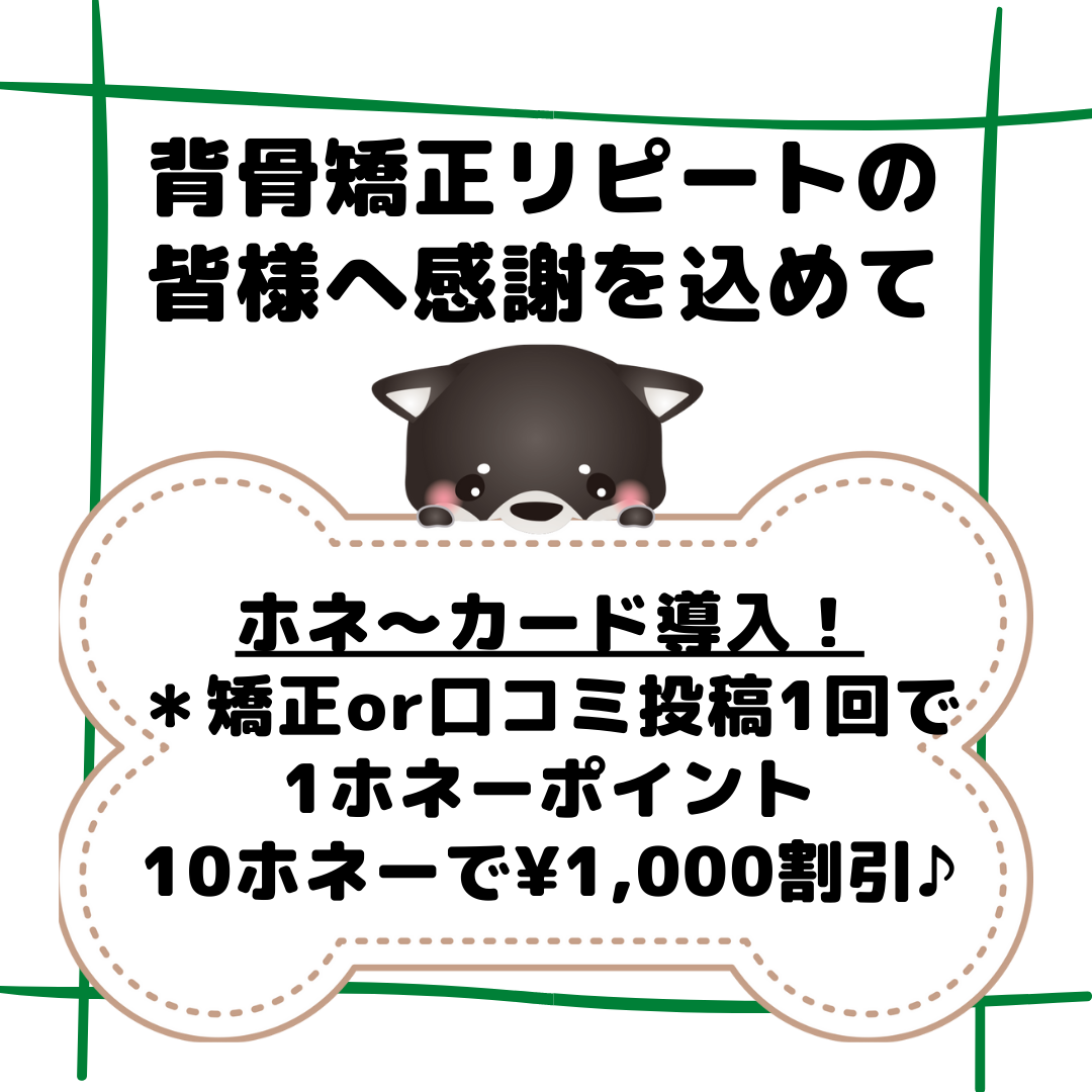 背骨矯正がお得に！ホネ〜ポイントスタート♪