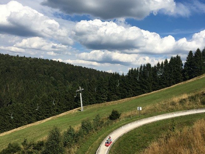 Sommerrodelbahn St. Andreasberg