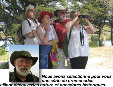 observation des oiseaux dans le parc du marquenterre