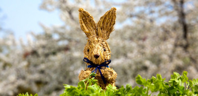 Gruß vom Osterhasen und von Frank Butschbacher (Foto: jsr, pixelio.de)