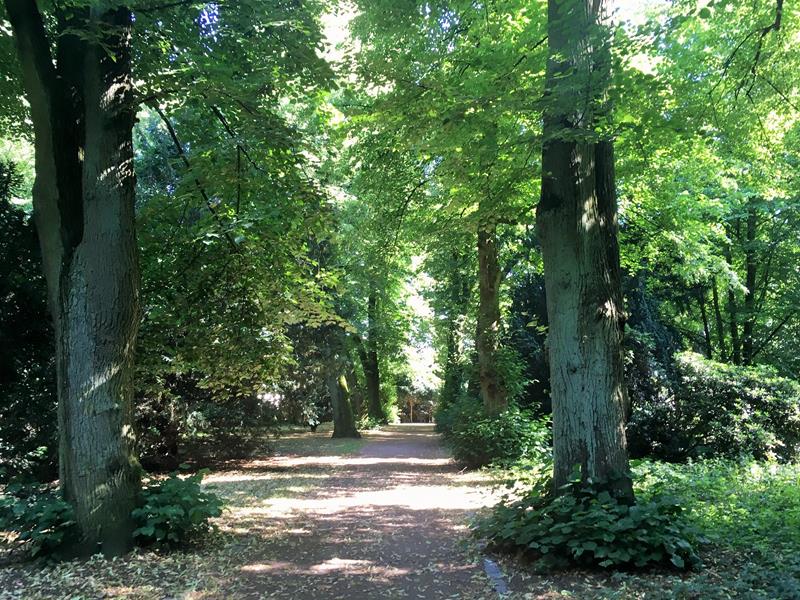 direkt am Lindenpark gelegen - Raum für Natur