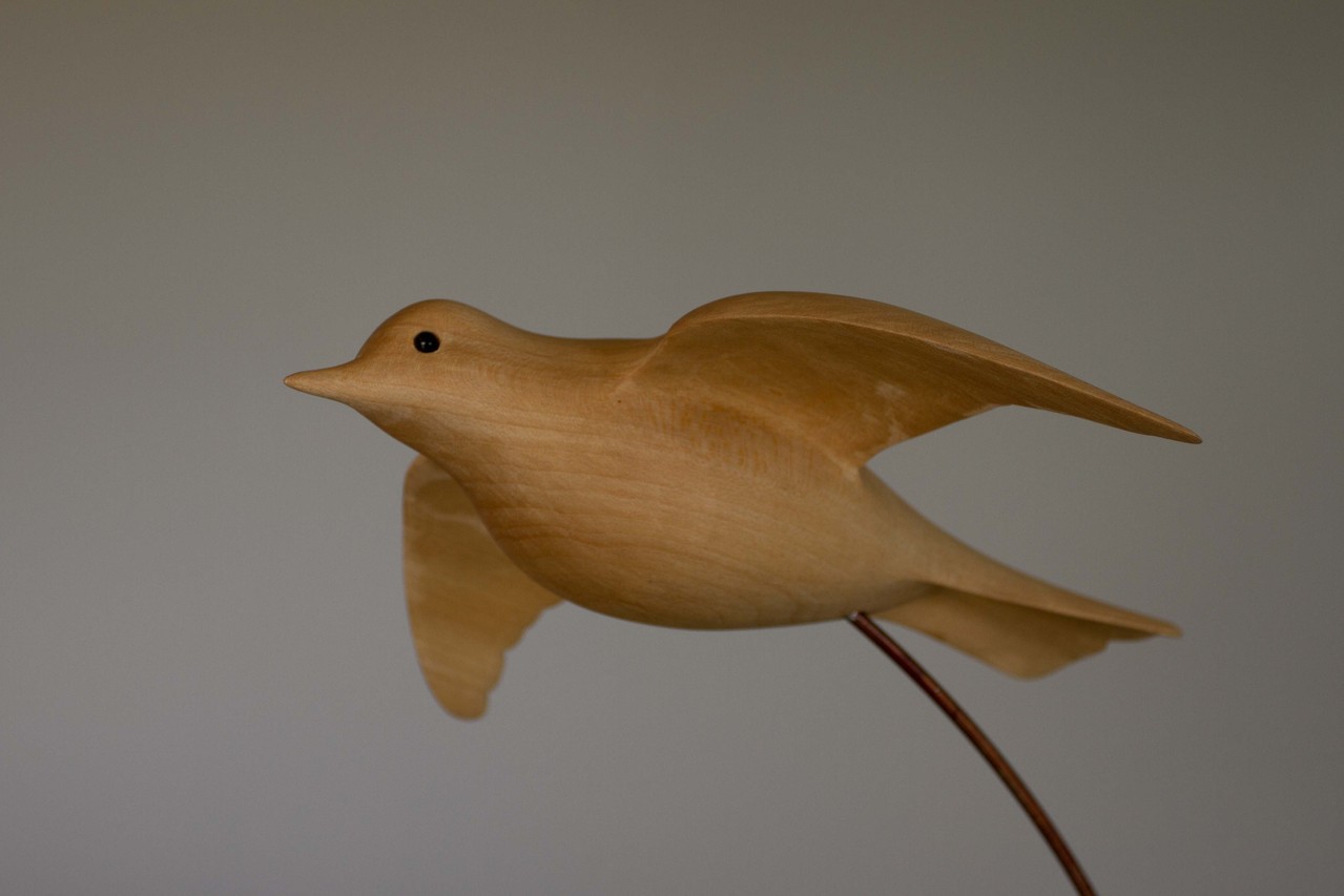 oiseau de bois: grive litorne tilleul (détail)