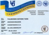 Чемпион Украины