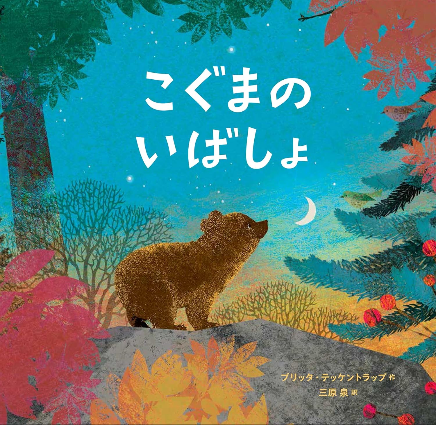 2月の大人コース