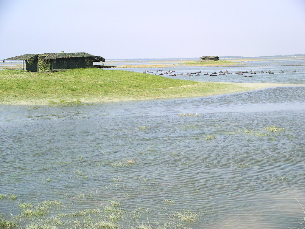 Hutte de chasse flottante à marée haute