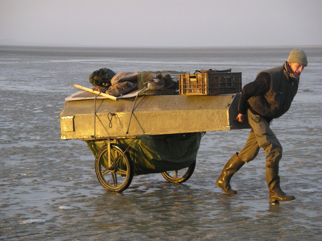 La chasse au hutteau