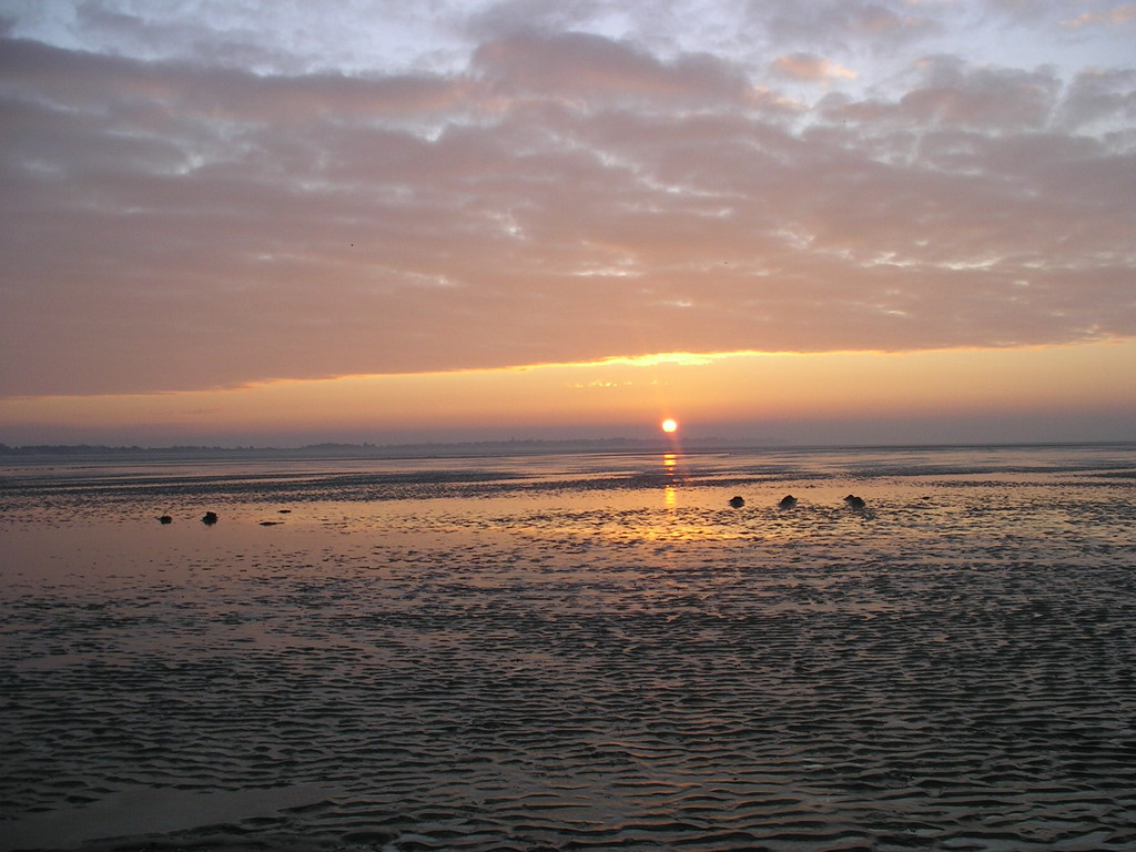 La Baie de Somme en image Rando Nature