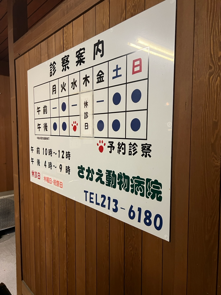 凄く良い先生‼️