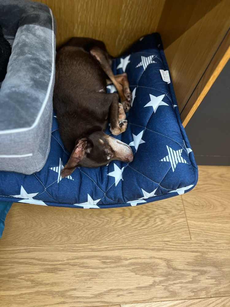 寝る時間も多いよ😆💤