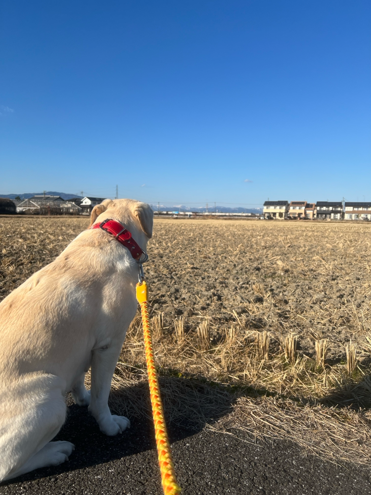 あのんと一緒に遠くを眺めて😄