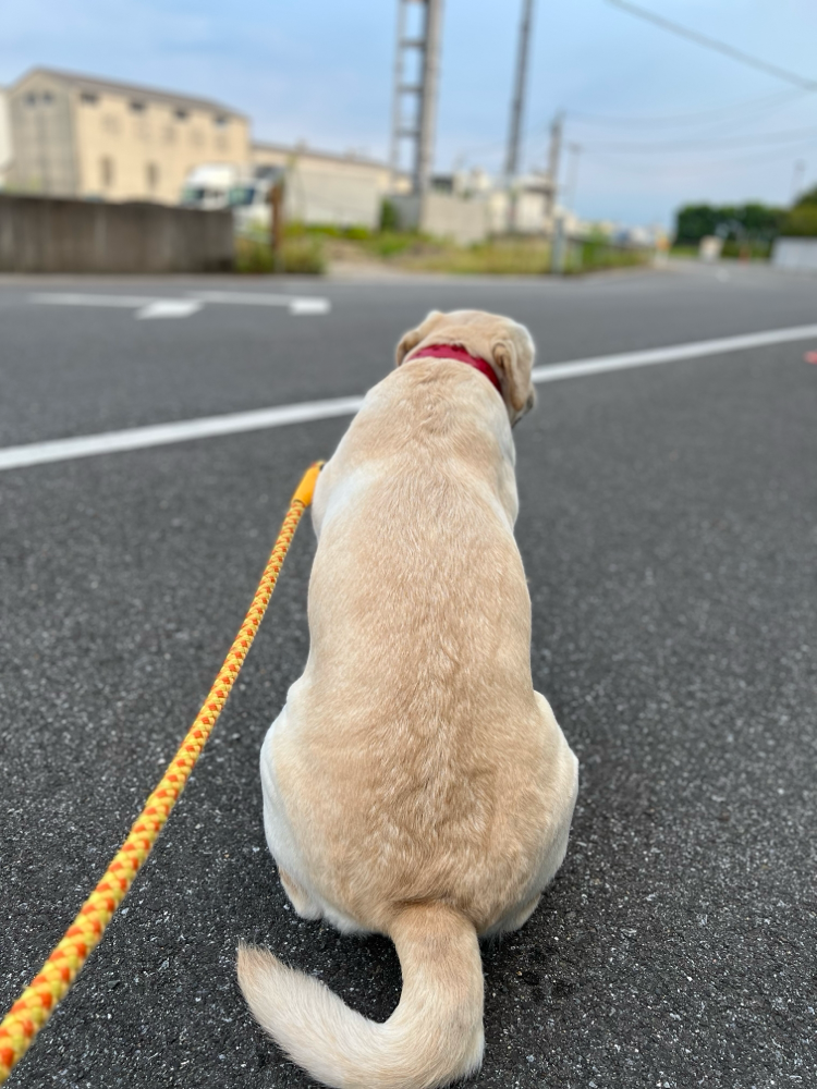 これは座ってるだけね😆