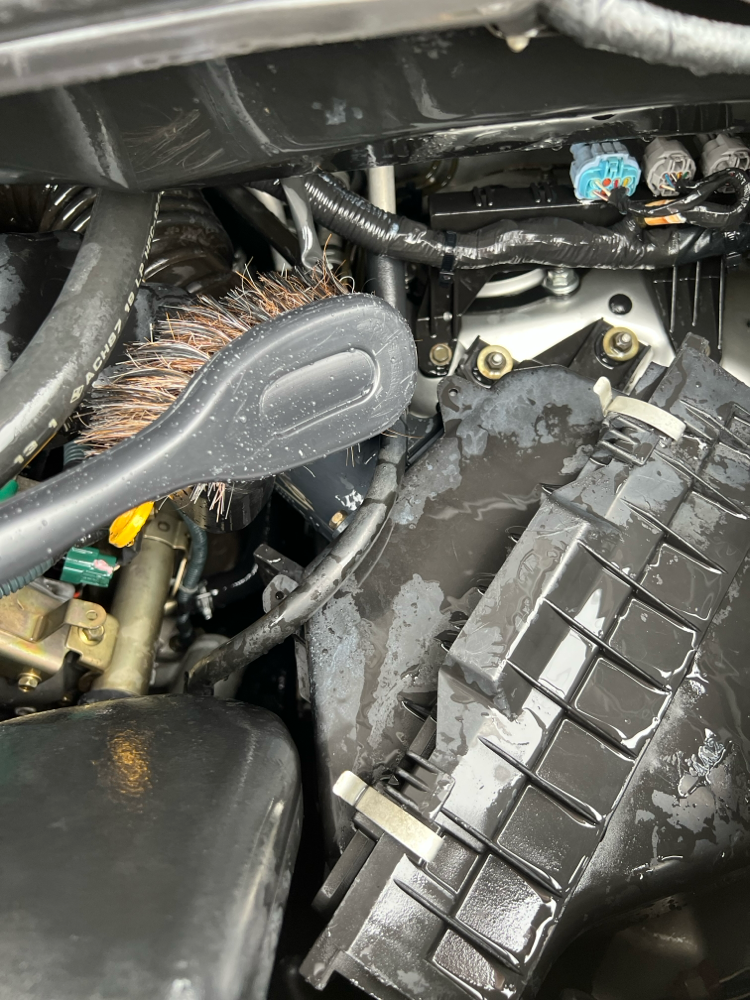 ちょっと気になるところはソフトブラシでこすりまーす👍