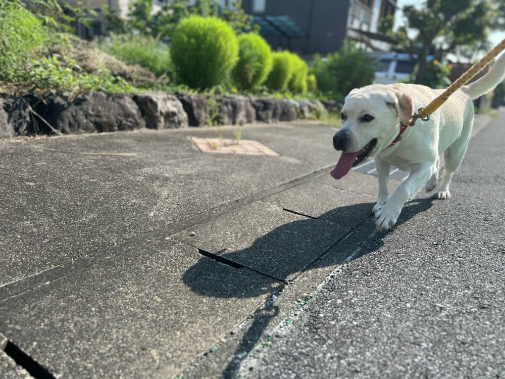 まだスタートだから気合いはいってます👍