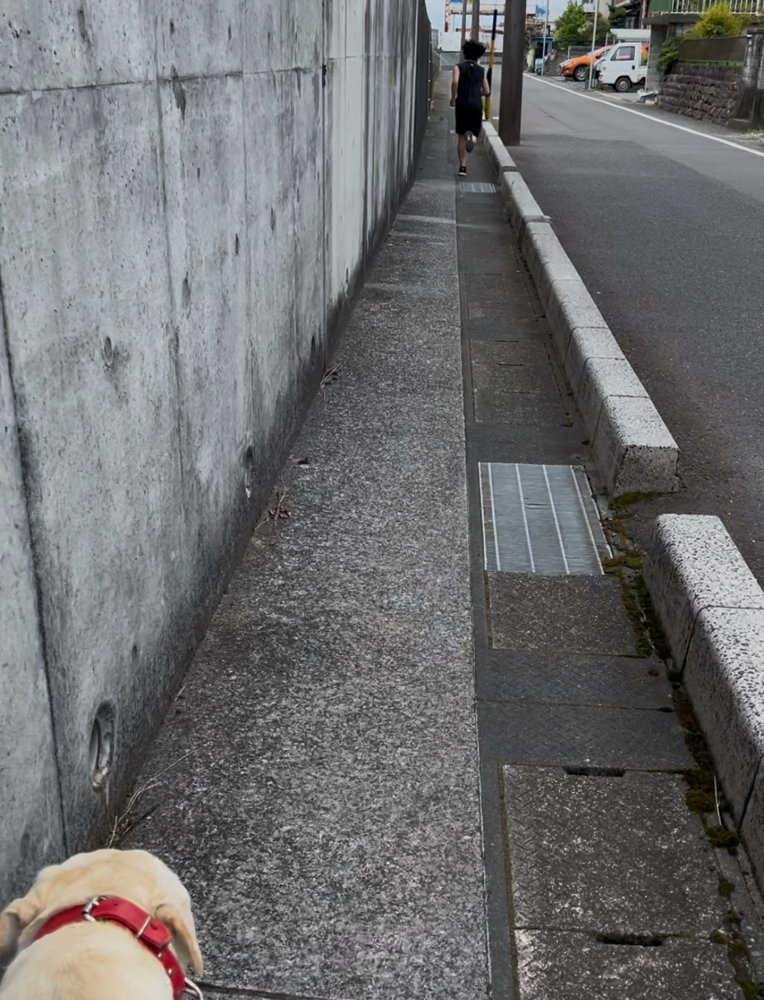 暑さに弱いあのん😅必死です😆