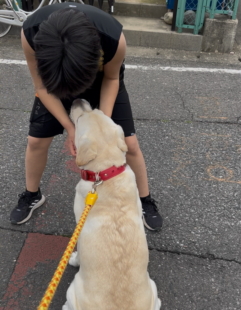 さぁ、いきましょ😆