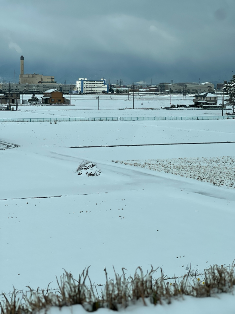 雪だぁ⛄️