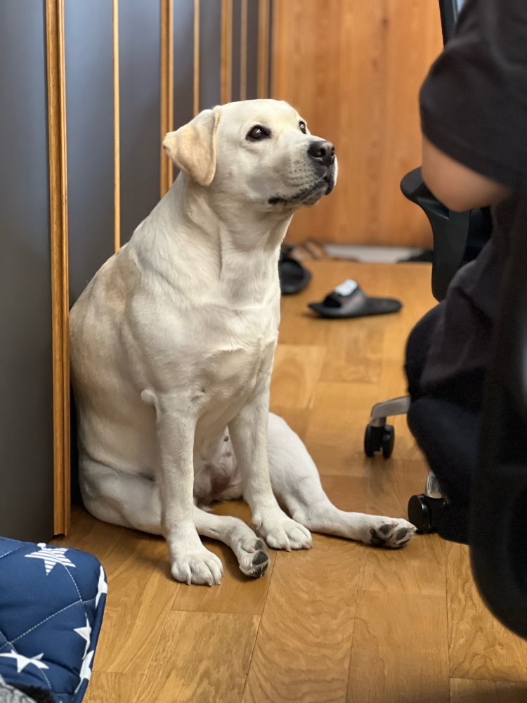 今日のベストショット‼️完全にもたれてる😆