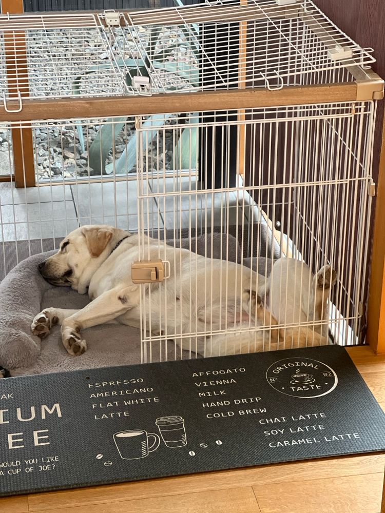 熟睡中のアノン💤
