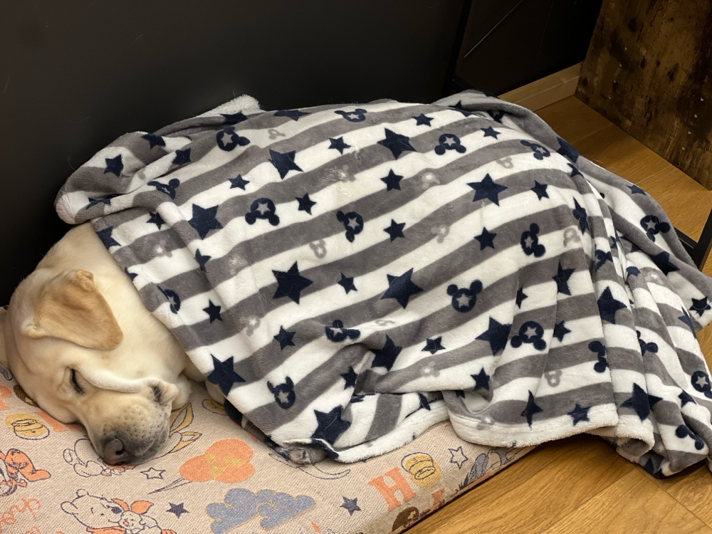 ぐっすり😆💤