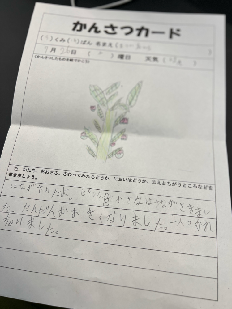 おっ‼️書いてるね😊