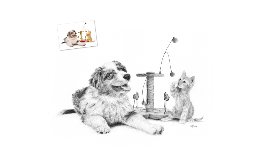 Portraits animaliers - 2012 - Chiot et chaton - Format A3 (42 x 29,7 cm)