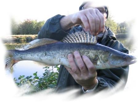 ¨Peche dans la somme, pêche en étang et pêche dans la rivière: La Somme