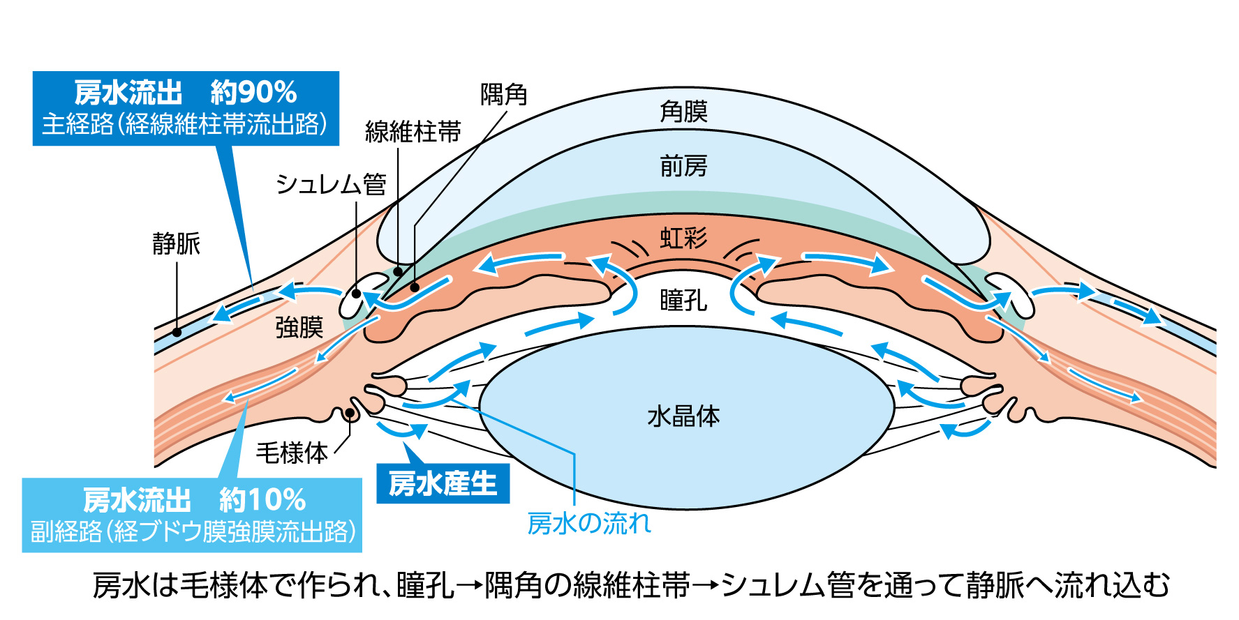 角結膜疾患の治療戦略 薬物治療と手術の最前線 （眼科手術の
